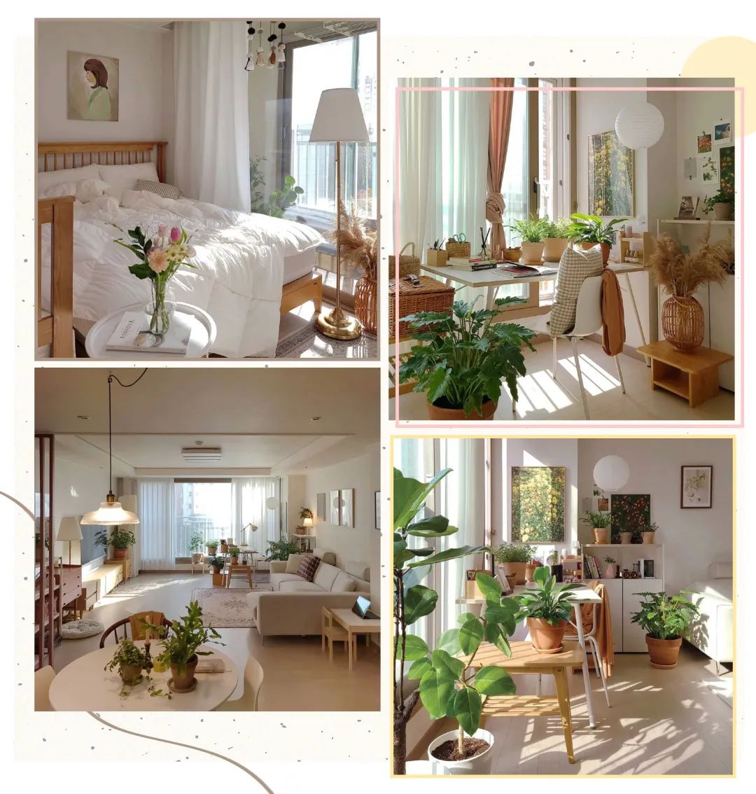 哈爾濱師大附小學校區房有哪些小區 哈爾濱師大附小學校區房有哪些小區