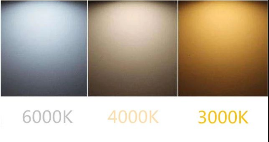 微信圖片_20230225165339 微信圖片_20230225165339.png